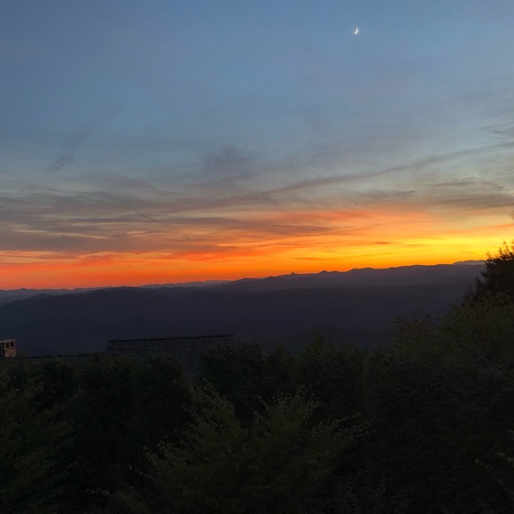 Meet your Posher, Alisa - Picture 1 of 1